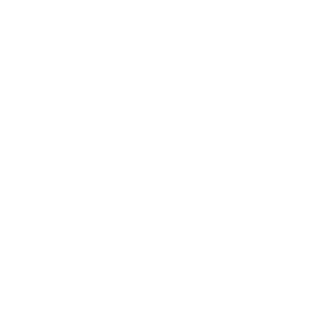 Final Say Wills